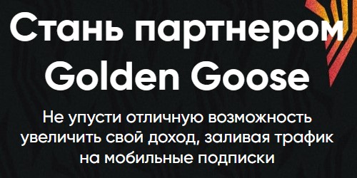 GOLDEN GOOSE 